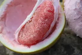 深汕蜜柚熟了！走，跟果农上山摘柚子图片