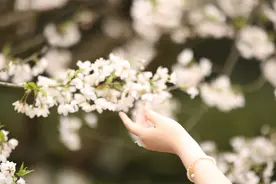 故事：为给姐姐定亲添嫁妆，她被养父一两银子卖给山里人家做新娘图片