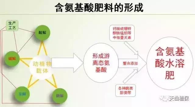 什么是生物刺激素？与激素有什么区别？都有什么作用？