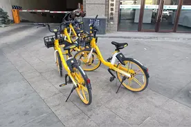 盘锦估计是辽宁省对共享单车最友好的城市了。图片