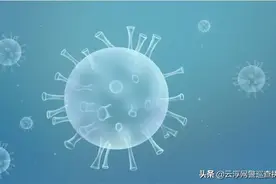 【揭秘】新冠病毒起源于哪里？专家这样说！图片