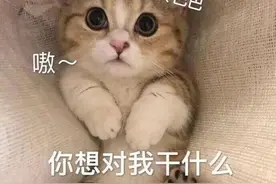 表情包｜我哭的时候，眼泪和兰州拉面一样图片