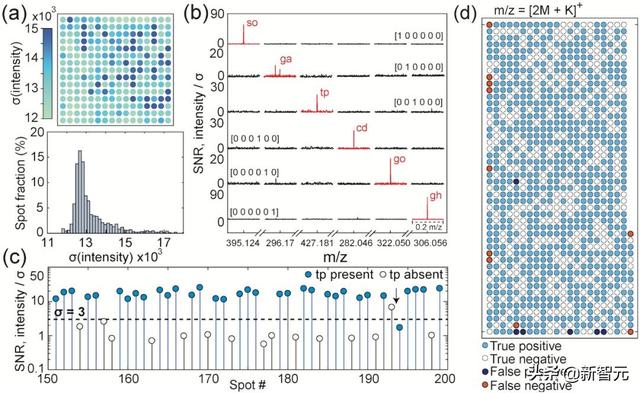 比DNA存储更可怕！你的照片居然可以存储在氨基酸分子溶液里