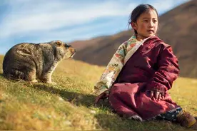 掏空草场的“大肥鼠”，因国人“溺爱”数量大增，如今已在泛滥图片