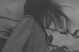 明明动了情，却不敢靠近。图片