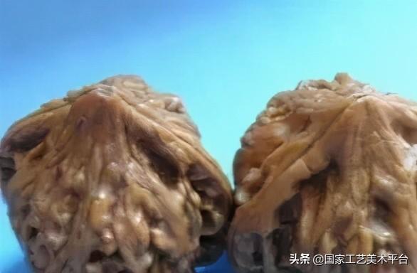 核桃中的极品你知道吗？史上最全盘点，文玩核桃的分类及图片！