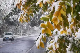 当返程遇上降雪，这份出行指南请您收好图片