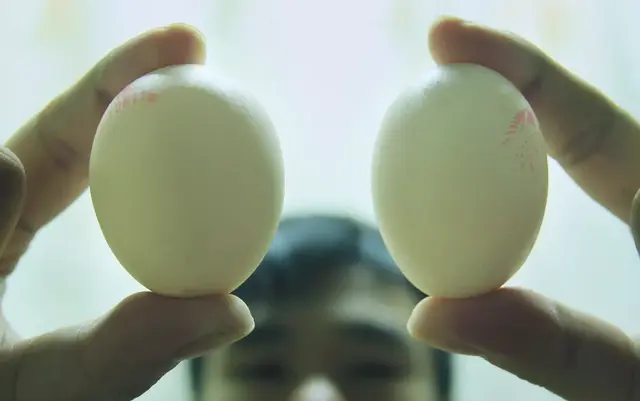 这些保健品都很坑，过年别送