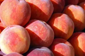 新疆水果月历丨生活在新疆，七月必吃的水果，你吃了吗？图片