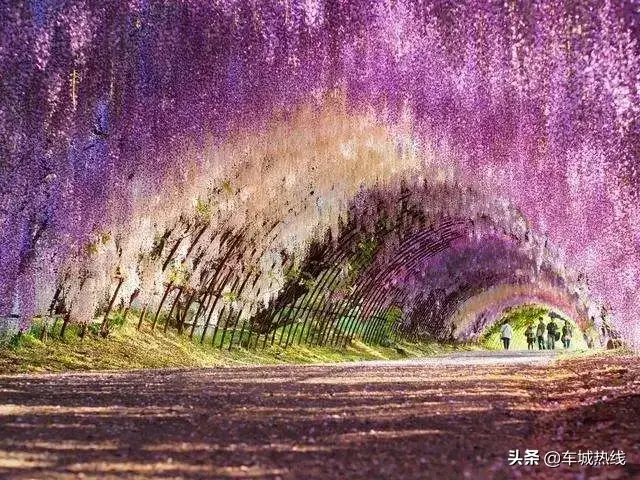 ��Ʊ����ͣ�ʮ�������ˮʥ�طŴ��У��ſ�ˮĻ��Ӱ���λñ�����