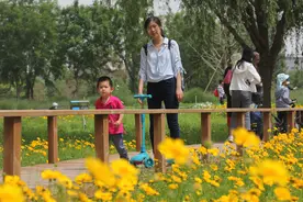 带上宠物逛公园，盘点北京可以带狗去的7个景点，出行前做好攻略图片