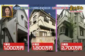 33岁就退休，日本小姐姐靠省钱买了3栋楼！现在天天就是撸猫图片
