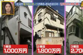 33岁就退休，日本小姐姐靠省钱买了3栋楼！现在天天就是撸猫图片