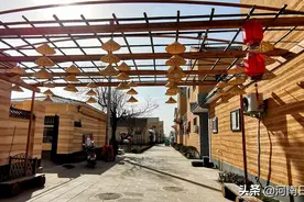 开展村居环境综合整治，滑县东小庄村收回集体土地及宅场荒地181亩，为发展集体经济打下了基础图片