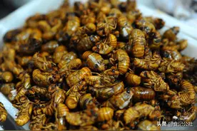 这些昆虫类食品，你吃过吗？一般人不敢吃图片