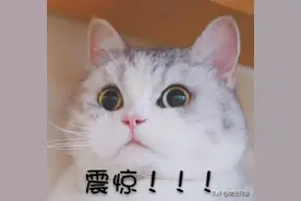 一个5元佣金引发的百万诈骗案图片