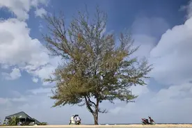 有一种友情，从青丝到白发图片