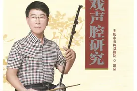 《黄梅戏声腔研究》：填补黄梅戏声腔理论空白图片