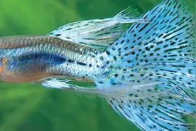 治病不是拼火力，驱邪外出有方法，阴阳和谐共存留图片