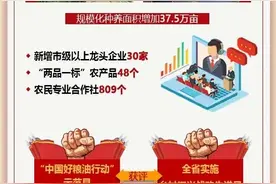 令人期待！未来5年，湘阴“长”这样图片