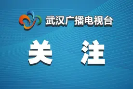 不负青春 不负韶华 来英雄的城市创造崭新的业绩——武汉市召开市直单位首批聘任制公务员座谈会图片