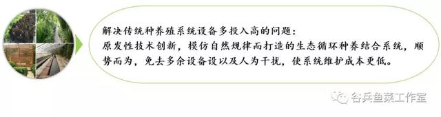 鱼菜共生的痛点—技术