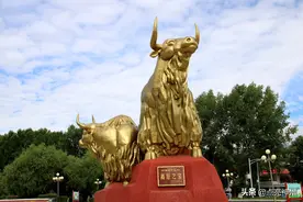 西藏哪种外地车牌最多见？川牌是当之无愧的第一，别的你知道吗？图片