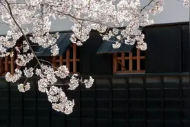 古诗十大经典梦境！这些典故你全都知道吗？图片