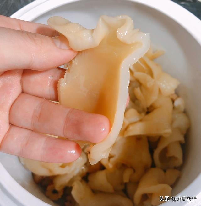 干鳘鱼鳔怎样泡发食用 2026年干鳘鱼鳔怎么做好吃