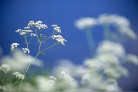 细节！细节！千万不能小看细节图片
