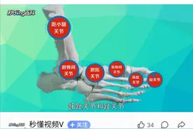 打乒乓球时下肢功能分析图片