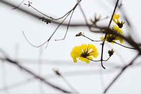 发现了公公的秘密，可是我却不知道该不该说图片