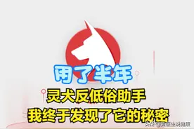 用了半年“灵犬反低俗助手”，我终于发现了它的秘密图片