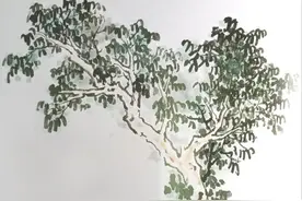 国画中树和树干的画法图片