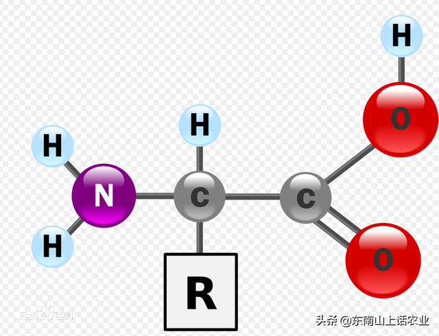 用最简单的话，告诉你氮元素的功能特点，选肥料、辨病害更容易