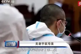 当庭供述弑母原因！吴谢宇案庭审细节首次曝光图片