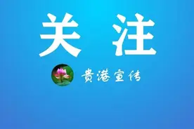 中国共产党贵港市第六届委员会委员当选名单图片