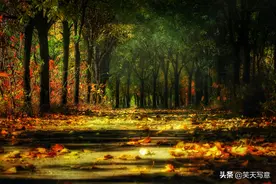 使用手机修图软件《Snapseed》如何制作梦幻般的照片。图片