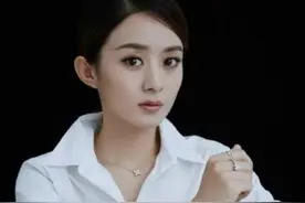 婆婆眼中的赵丽颖，深度剖析离婚背后的真相图片