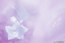 处女座其实并不优雅，而是好玩图片