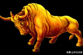2021是辛丑年，俗语：“寡年不逢春，遇牛五谷登”，什么意思图片