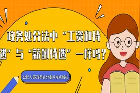 政务处分法中“工资和待遇”与“薪酬待遇”一样吗？图片