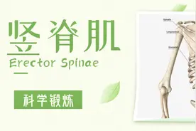 下背部疼痛、驼背、头痛——这块肌肉要练好！（2）图片