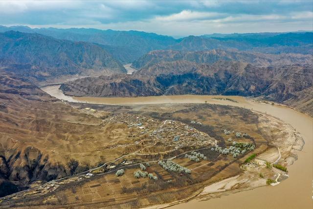 今年两会大柳树工程近展