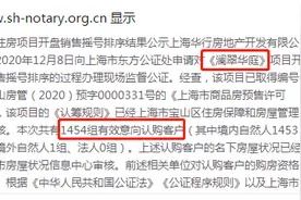 宝山第2个千人摇！大华公园城市公示摇号名单图片