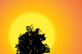 不服老，不行图片