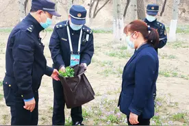 奥林匹克森林公园里处罚“挖菜大军”：每人罚50元图片
