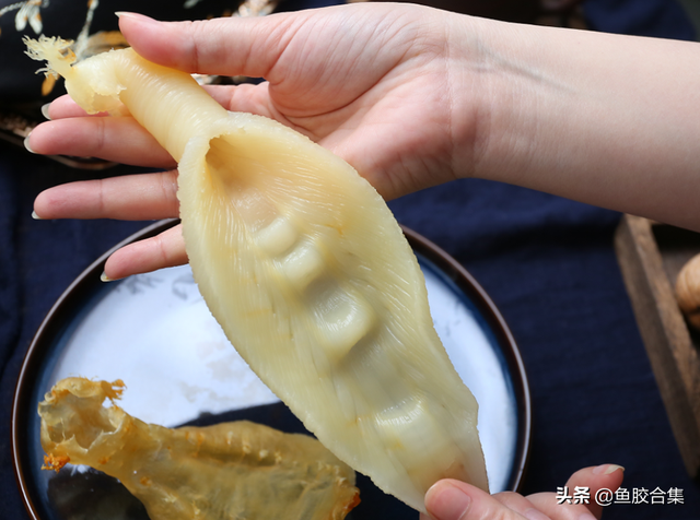 大口赤嘴鱼胶怎么泡发 大口赤嘴鱼胶怎么泡发好吃 大口赤嘴鱼胶怎么泡发 大口赤嘴鱼胶怎么泡发好吃