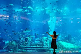 不要钱住 七星级酒店三亚 亚特兰蒂斯！图片