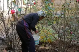 老话“门帘切莫如泪珠，灶台不能双面凸 ”啥意思？图片